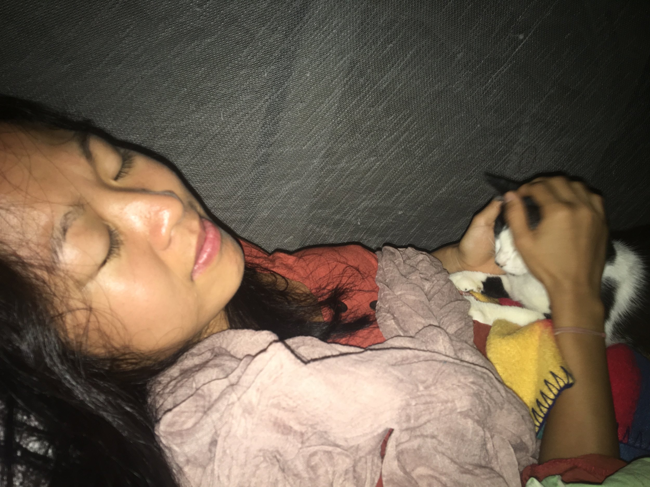 Last night at Panya. Little Ling Ling wanted ALL the cuddles #nosleeptilpanya #wylieoncameraalways