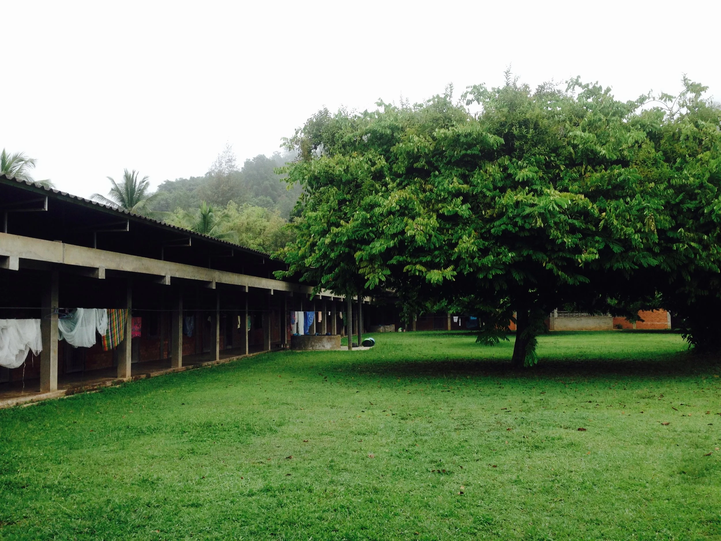 Grassy courtyard in the dorms