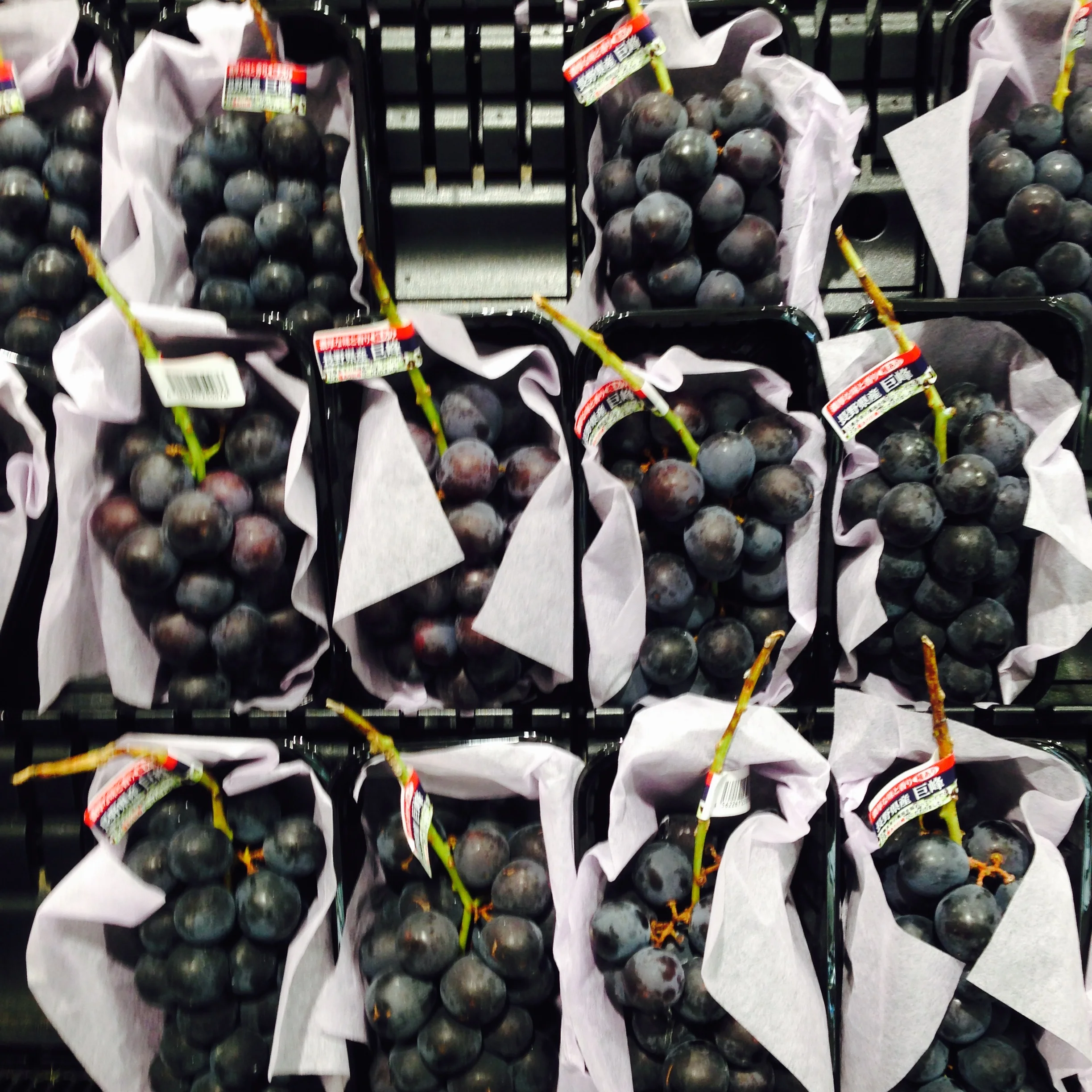 Have you ever seen such perfect grapes?
