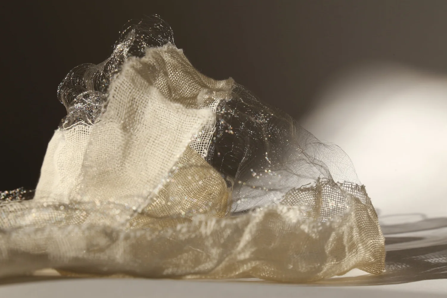  "Ephemera: Exoskeleton". Digital photograph (with artist’s handwoven cotton and stainless steel). 2015. 