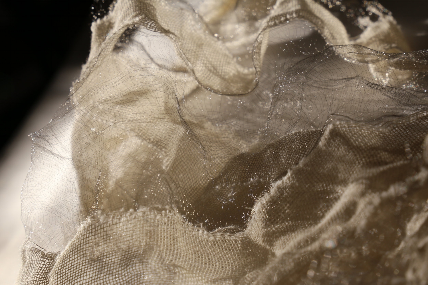  "Ephemera: Vigilance". Digital photograph (with artist’s handwoven cotton and stainless steel). 2015. 