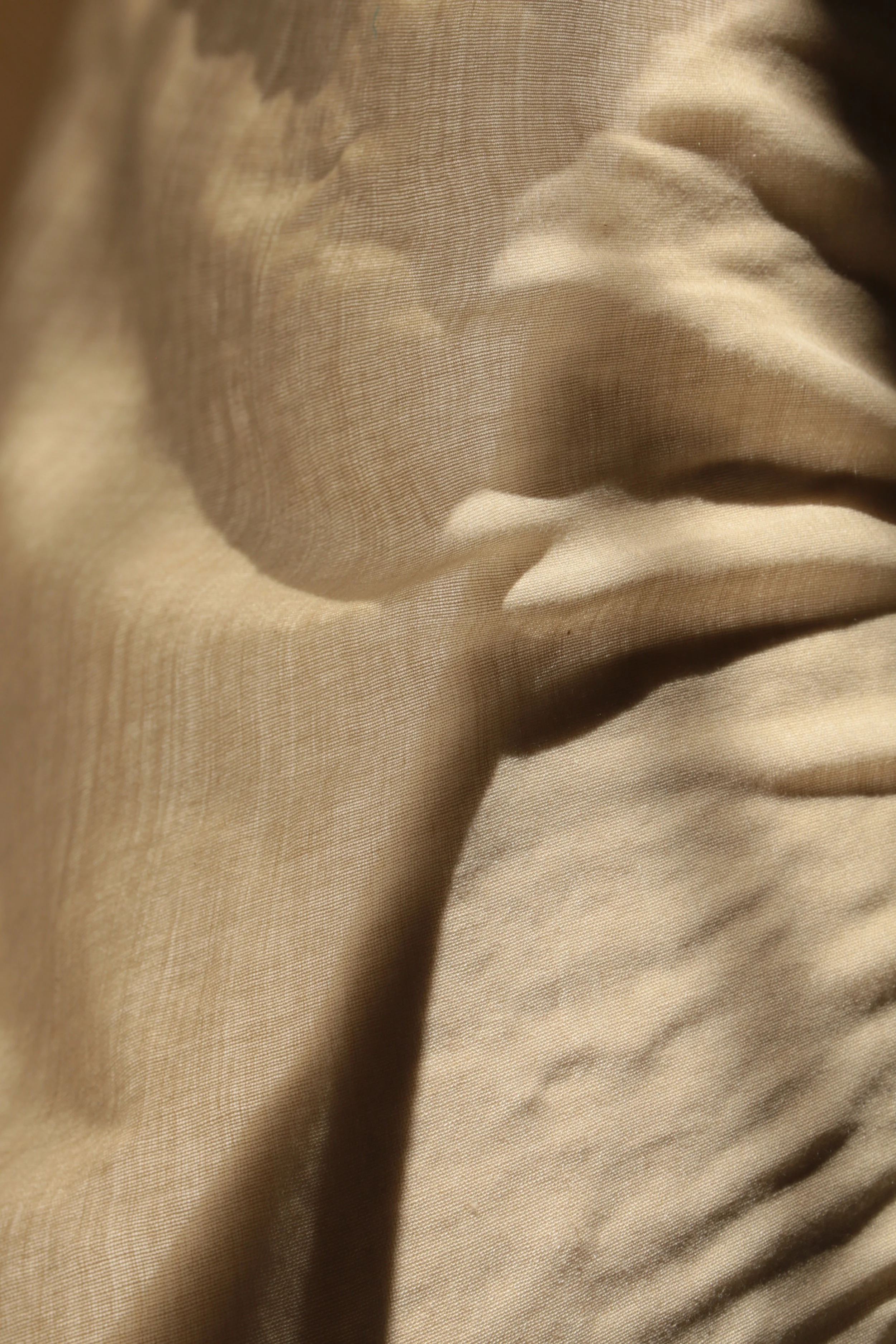  "Dermis". Digital photograph (with artist's handwoven cotton). 2015. 