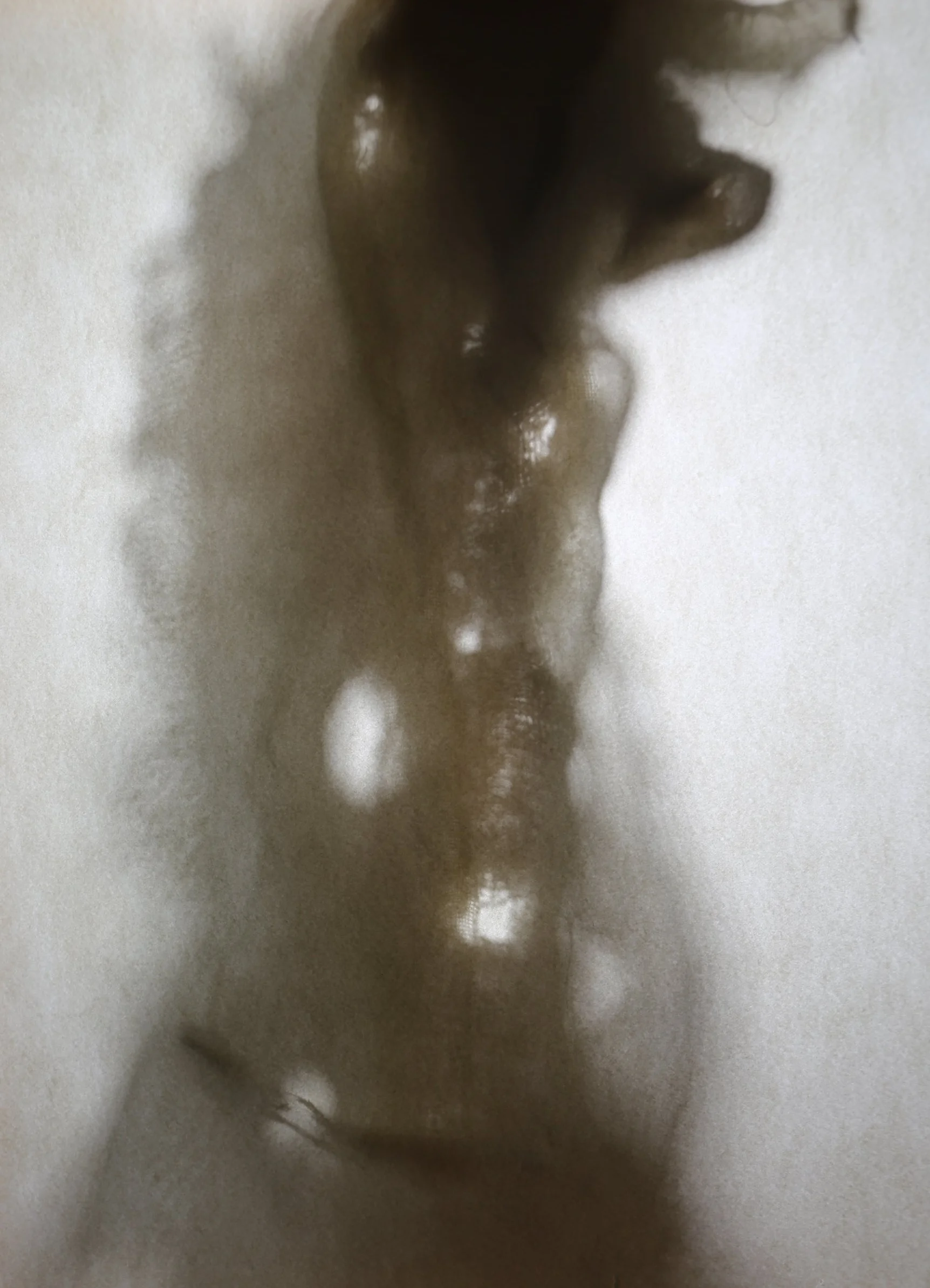 "Intimation". Digital photograph (with artist's handwoven linen). 2015.