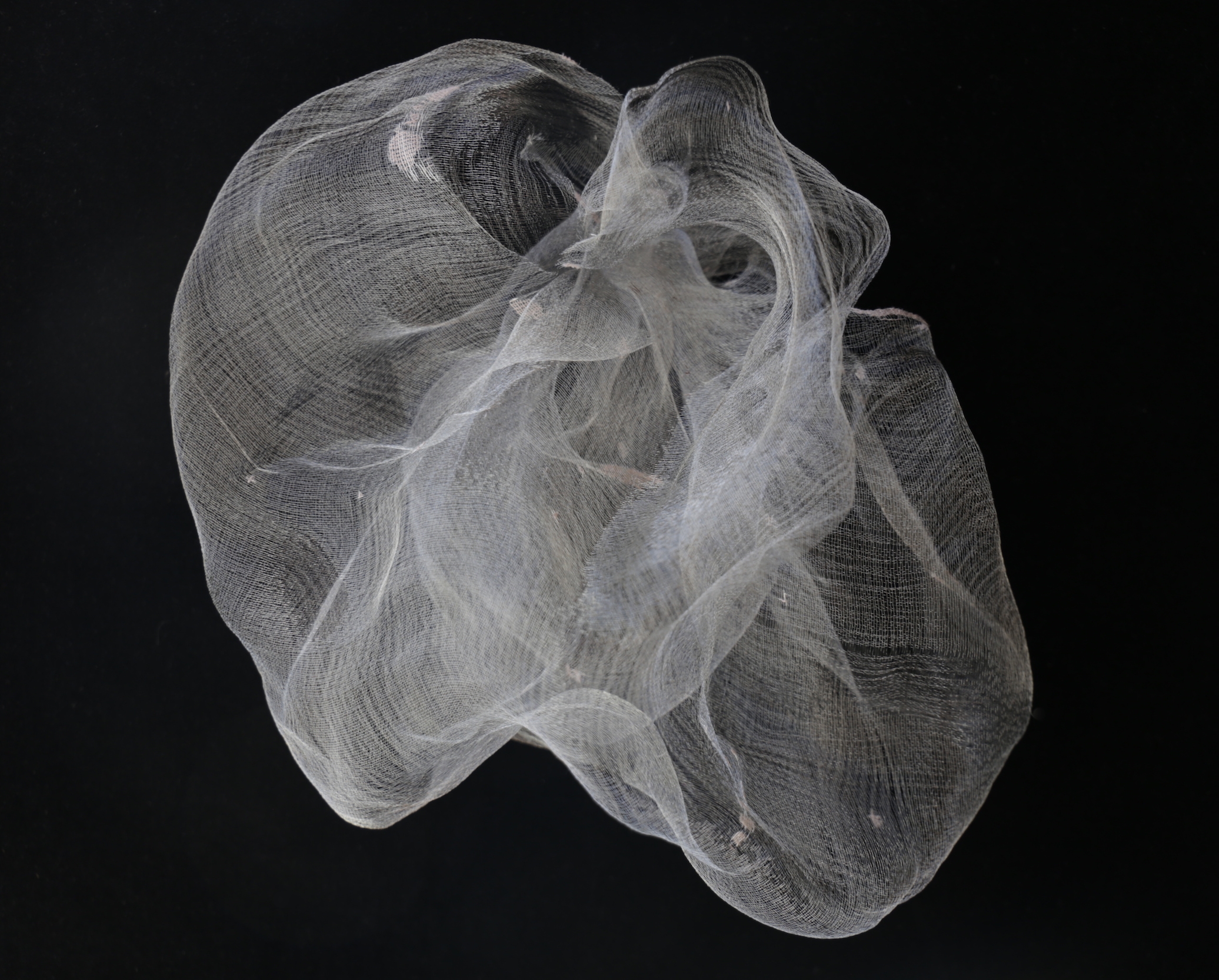  "Laniakea". Cotton, stainless steel. 11" x 12" x 6". 2018. 