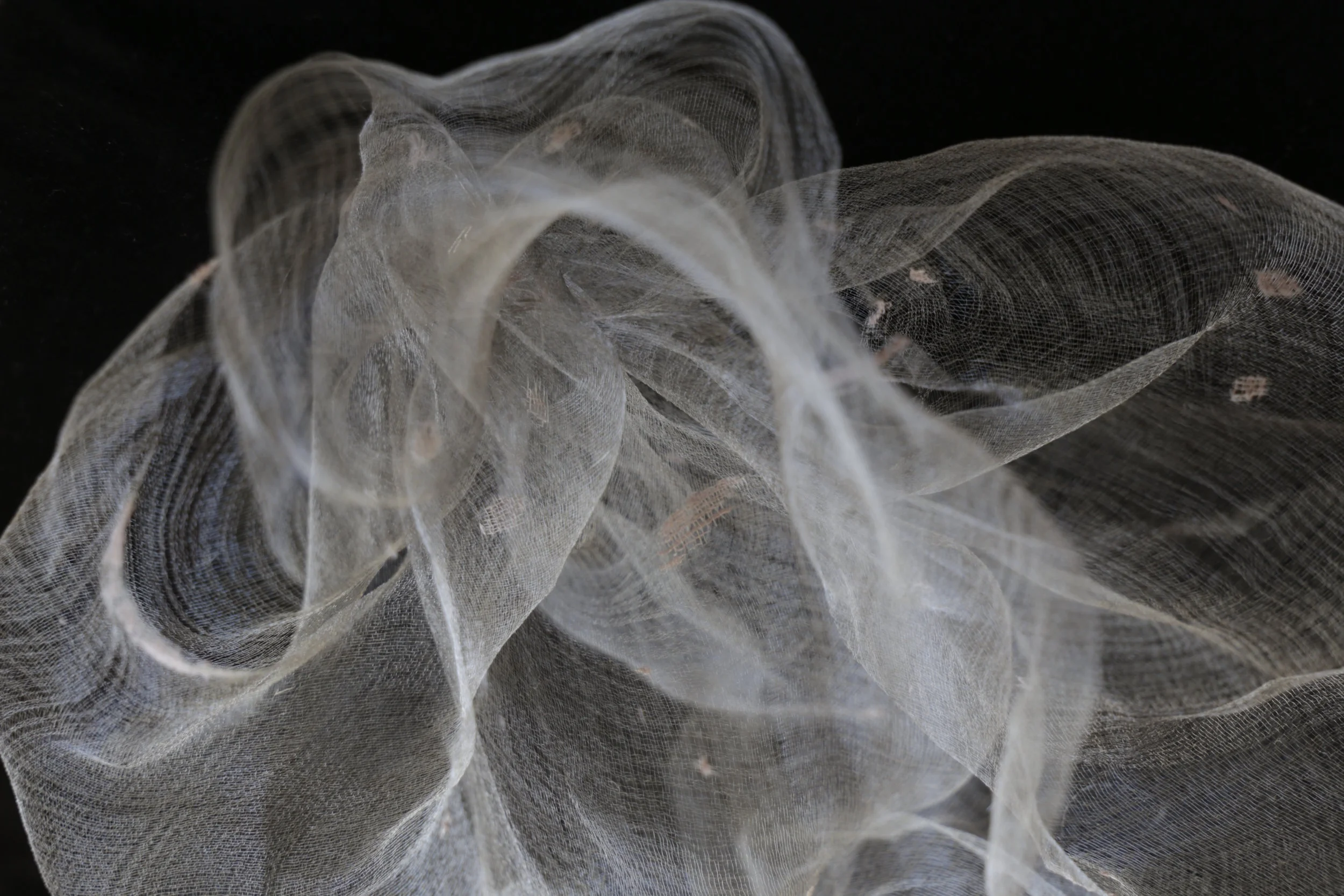  "Ephemera: Veil". Digital photograph (with artist's handwoven cotton and stainless steel). 2018. 