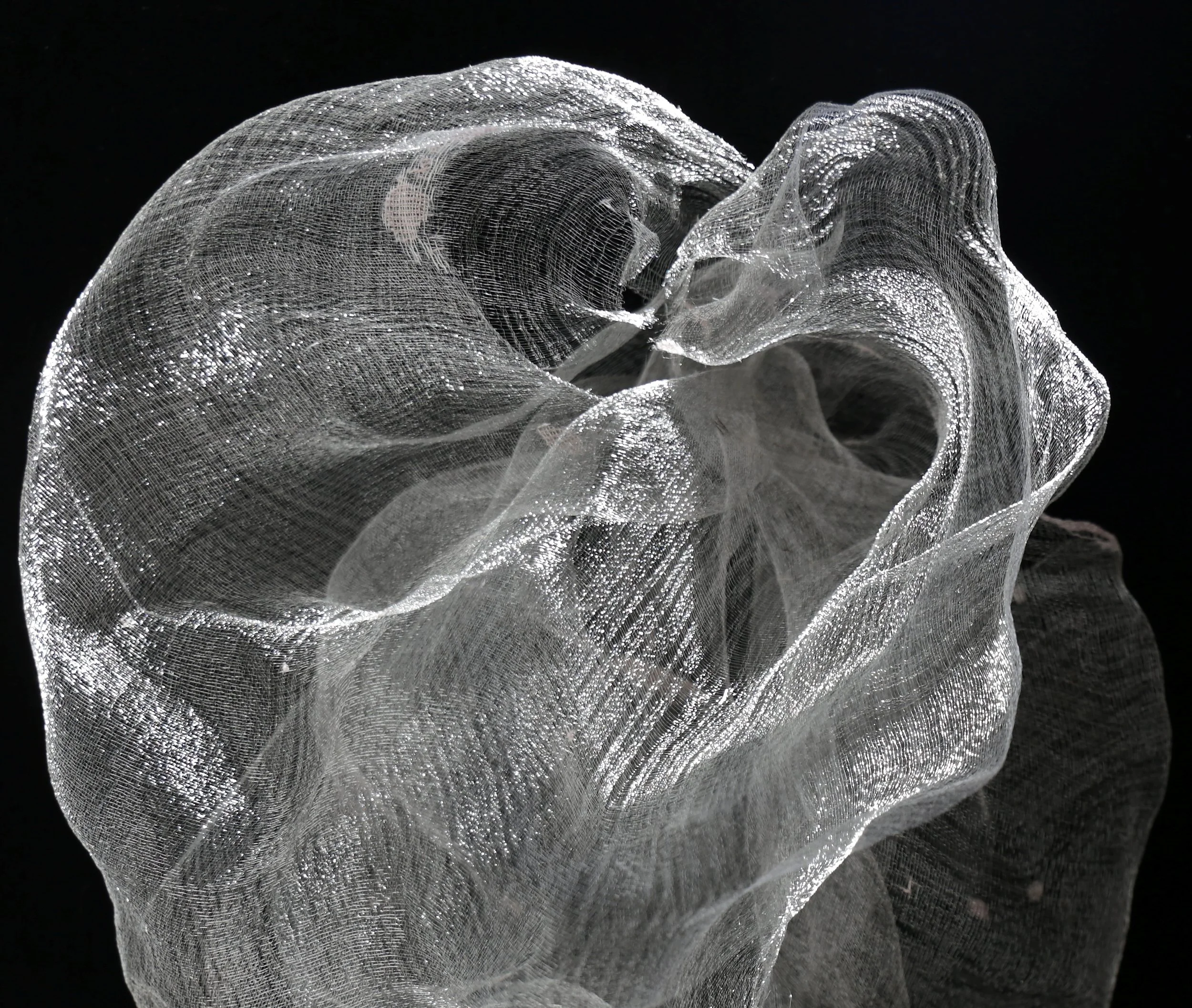 "Laniakea". Detail lit with sunlight.