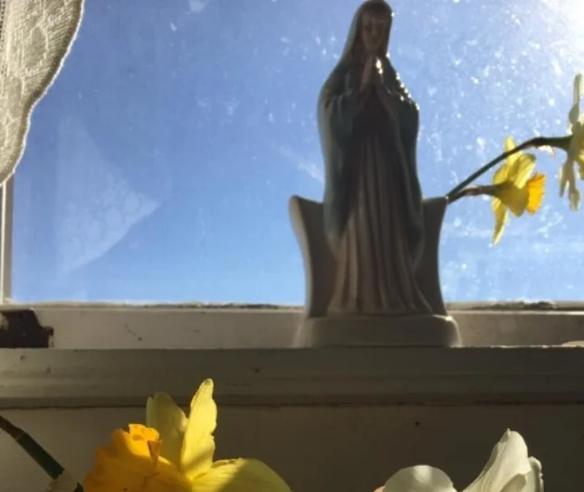 window.jpg