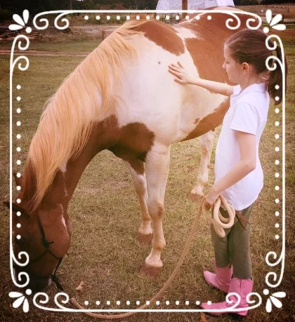 Contact Julie ( julie@wildheartcreating.com ) for more details and schedule a session at the farm!
