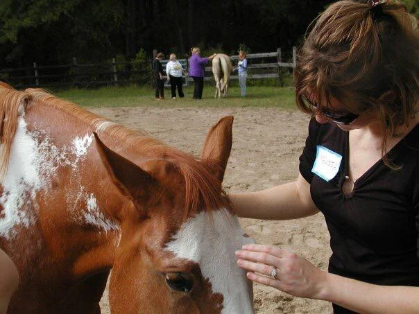 horse work.jpg
