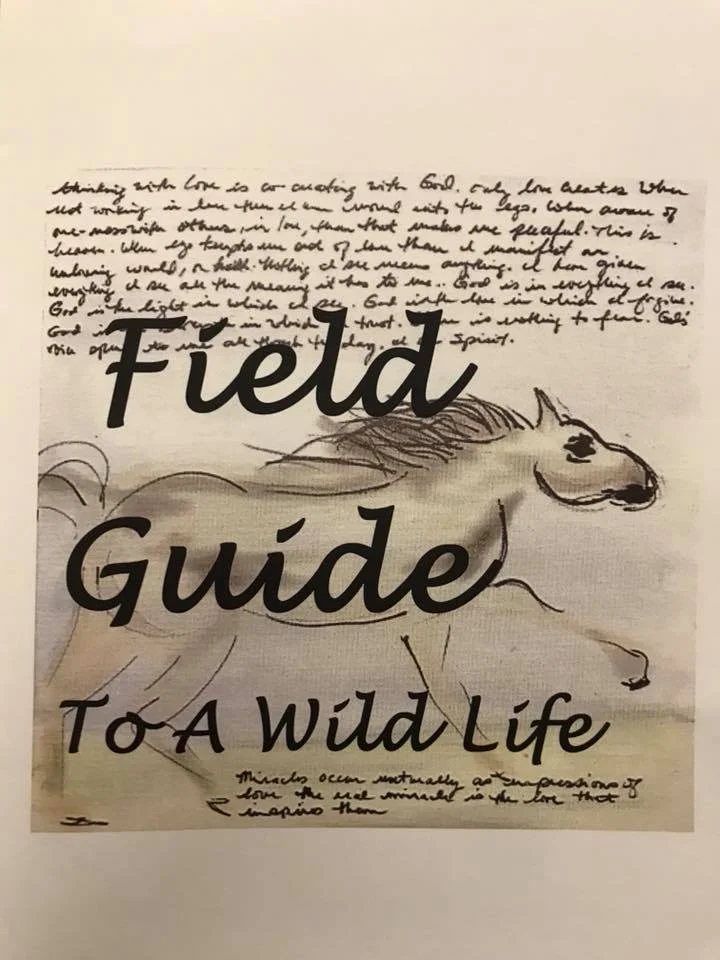Field Guide To A Wild Life