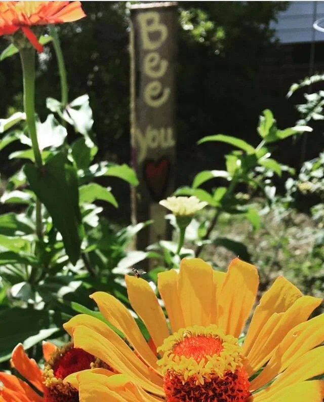 Full Farm Girl Mini-Camp Fee