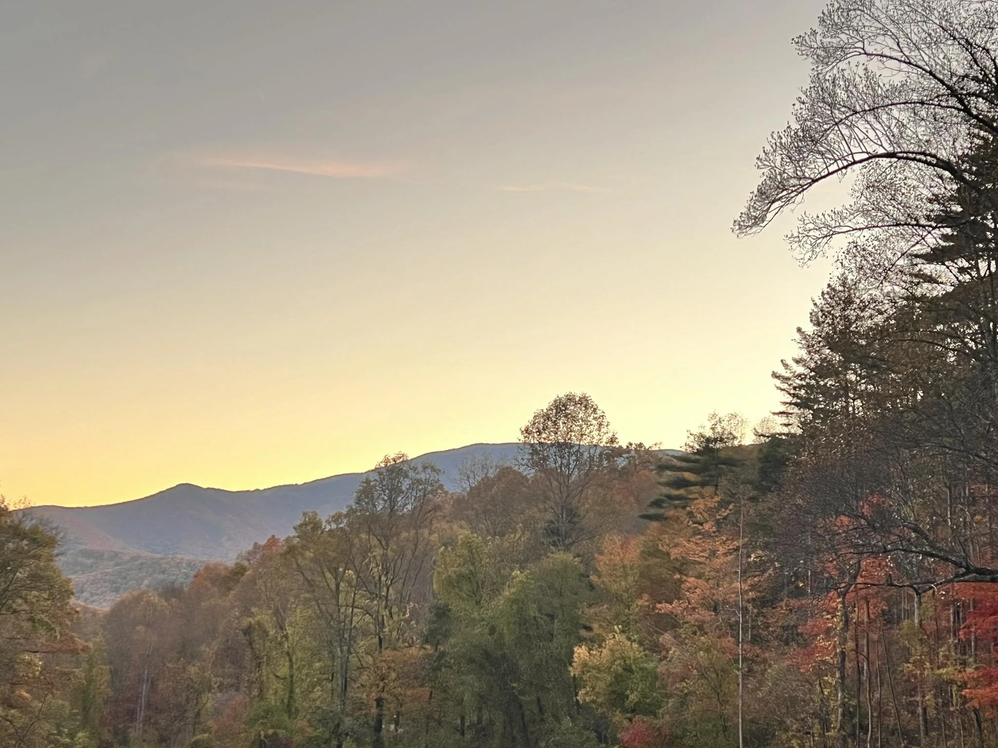 Walking Meditation and Sound Bath Session