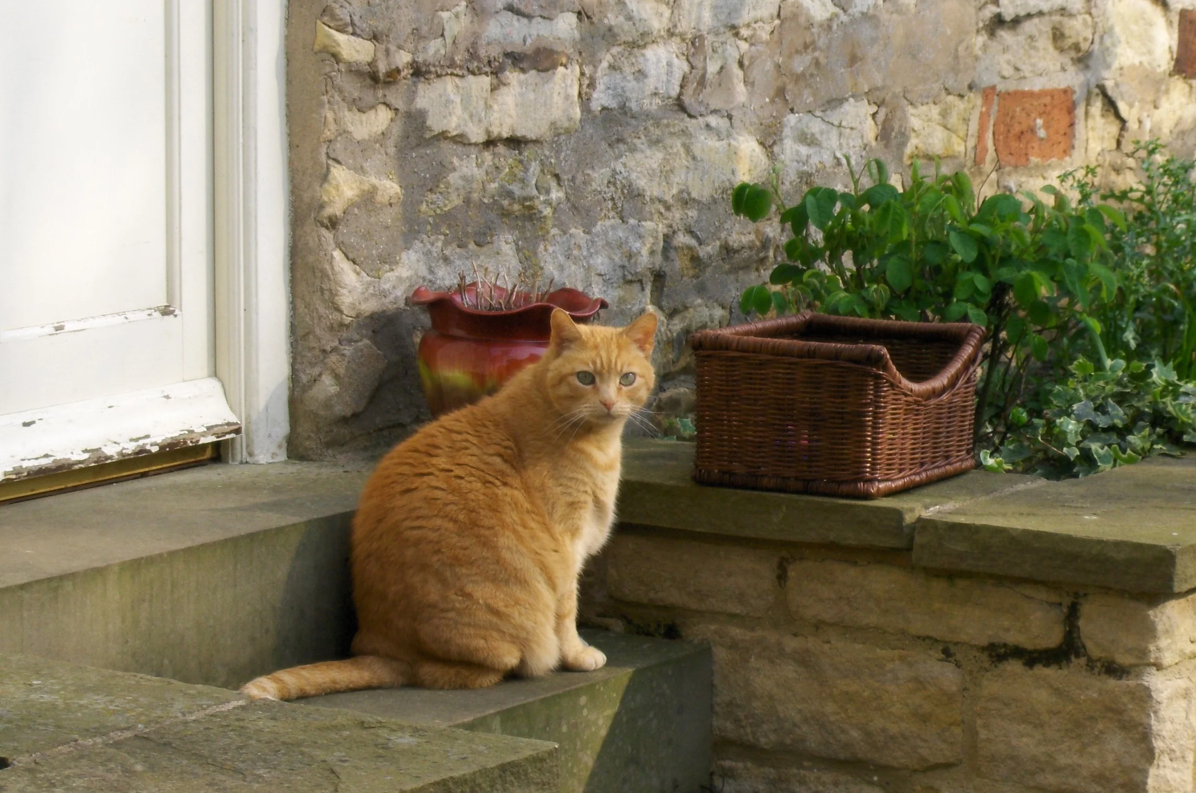 Mikey, age 17, in England. 