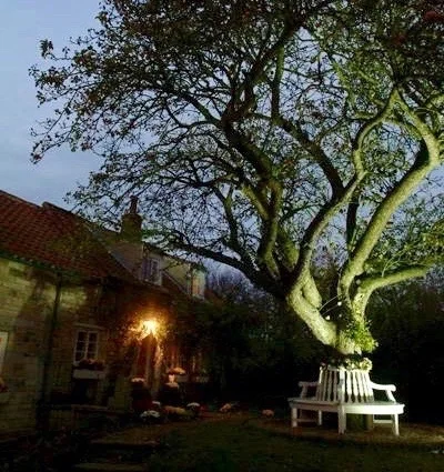 Twilight at Newton's Chapel, England. 