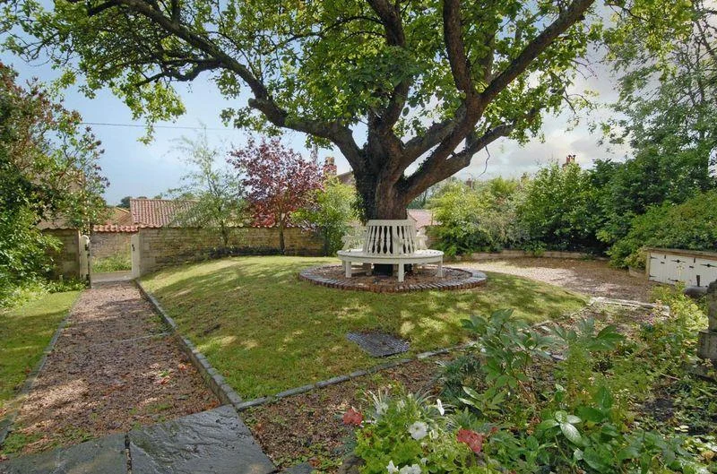 My Newton's Chapel garden