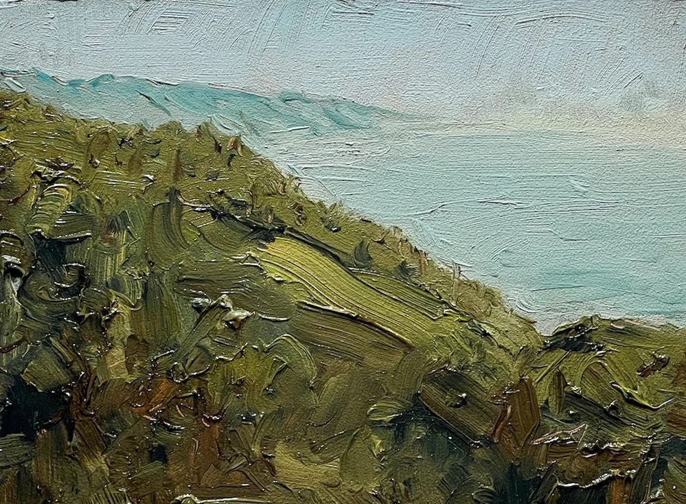 textured view cropped.jpg