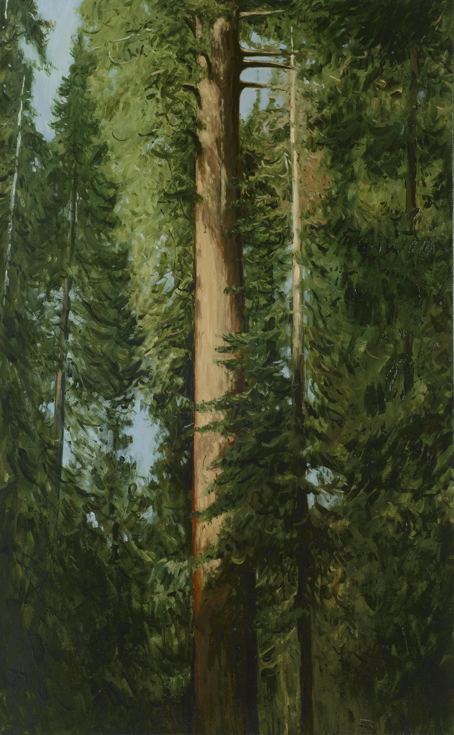 Big Sur redwoods painting by local artist Beau Bernier Frank. Singular redwood tree oil painting on canvas for california home decor interior