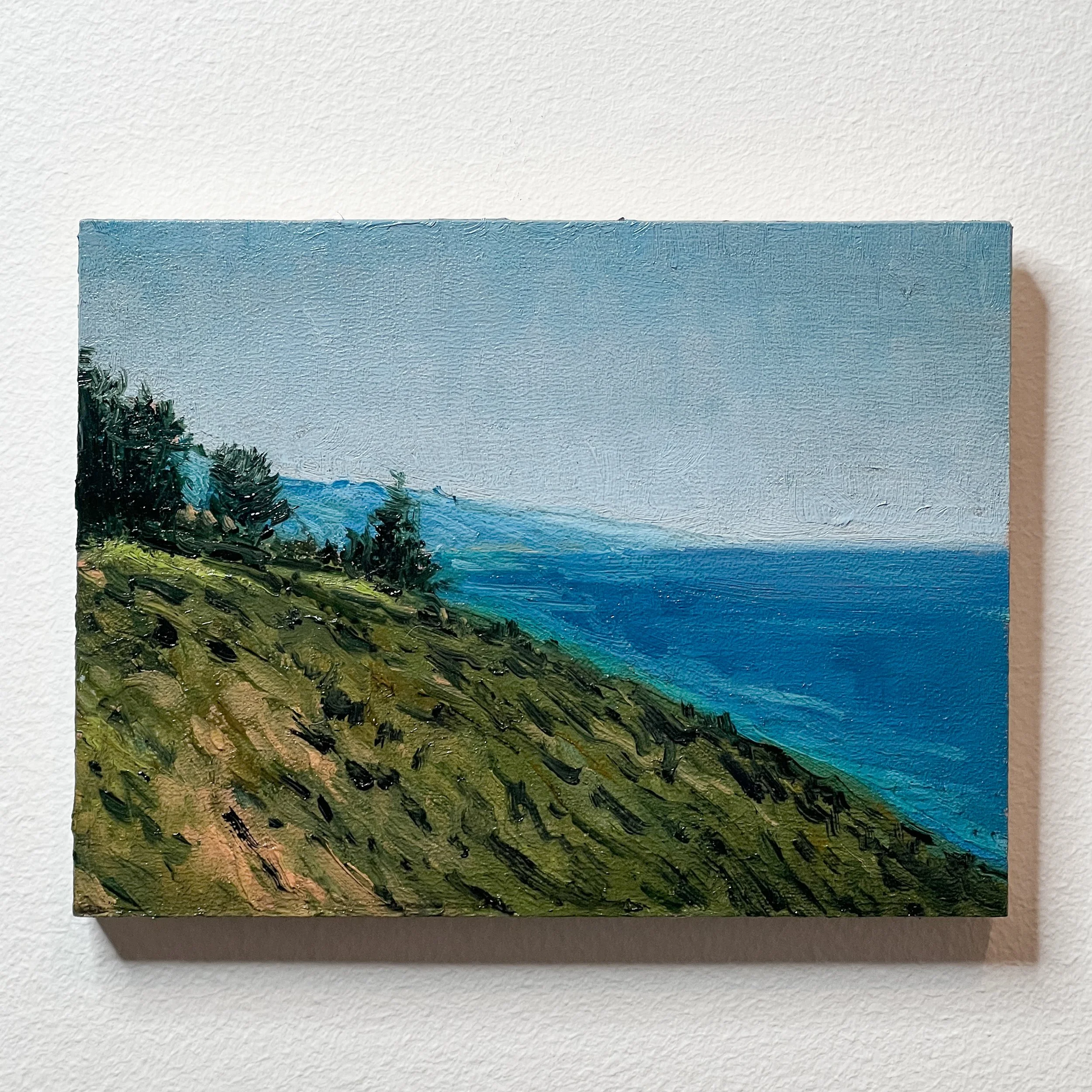 View of South Coast 6 x 8 square.jpg