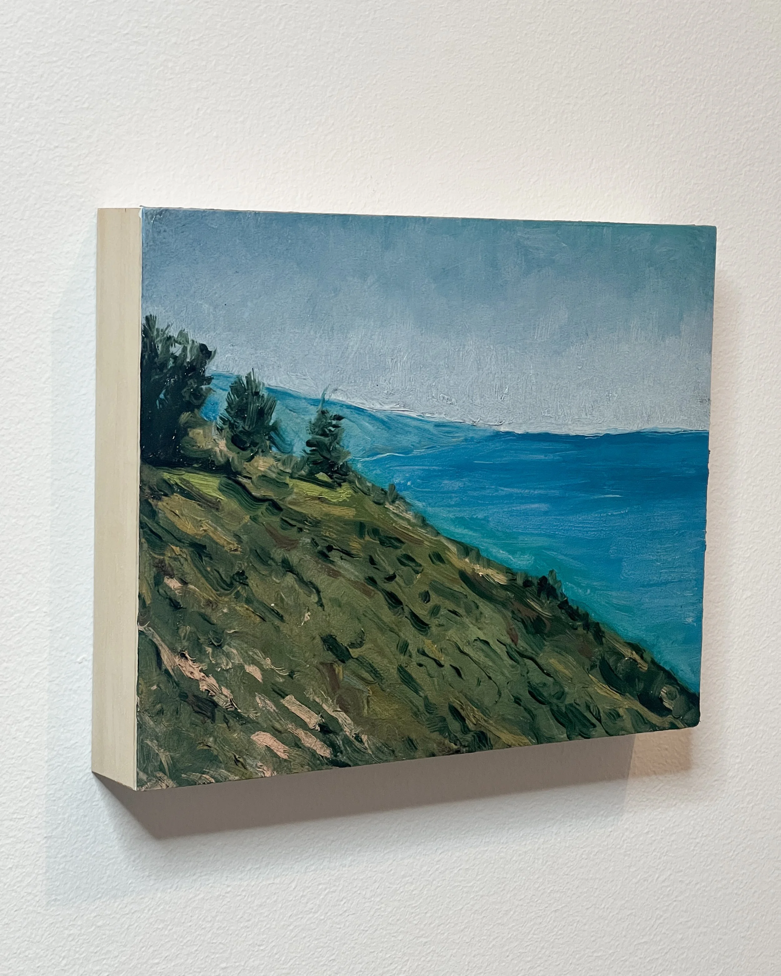 Pfeiffer Ridge 8 x 10 coast side.jpg