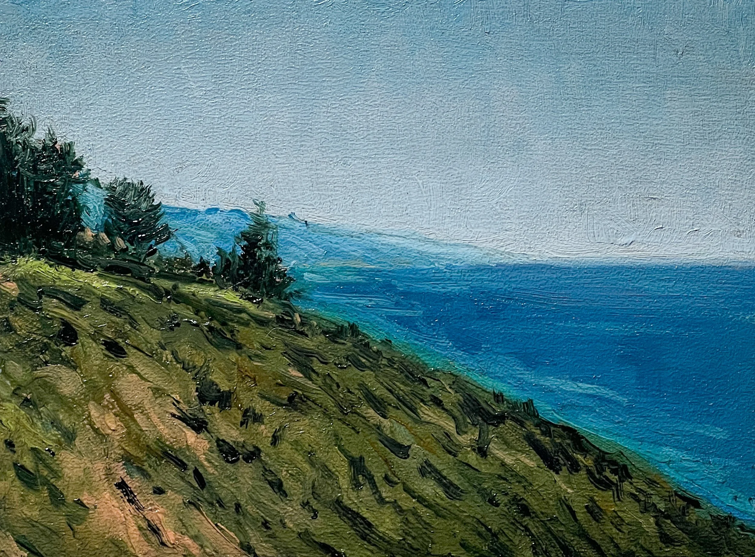 View of South Coast 6 x 8 cropped.jpg