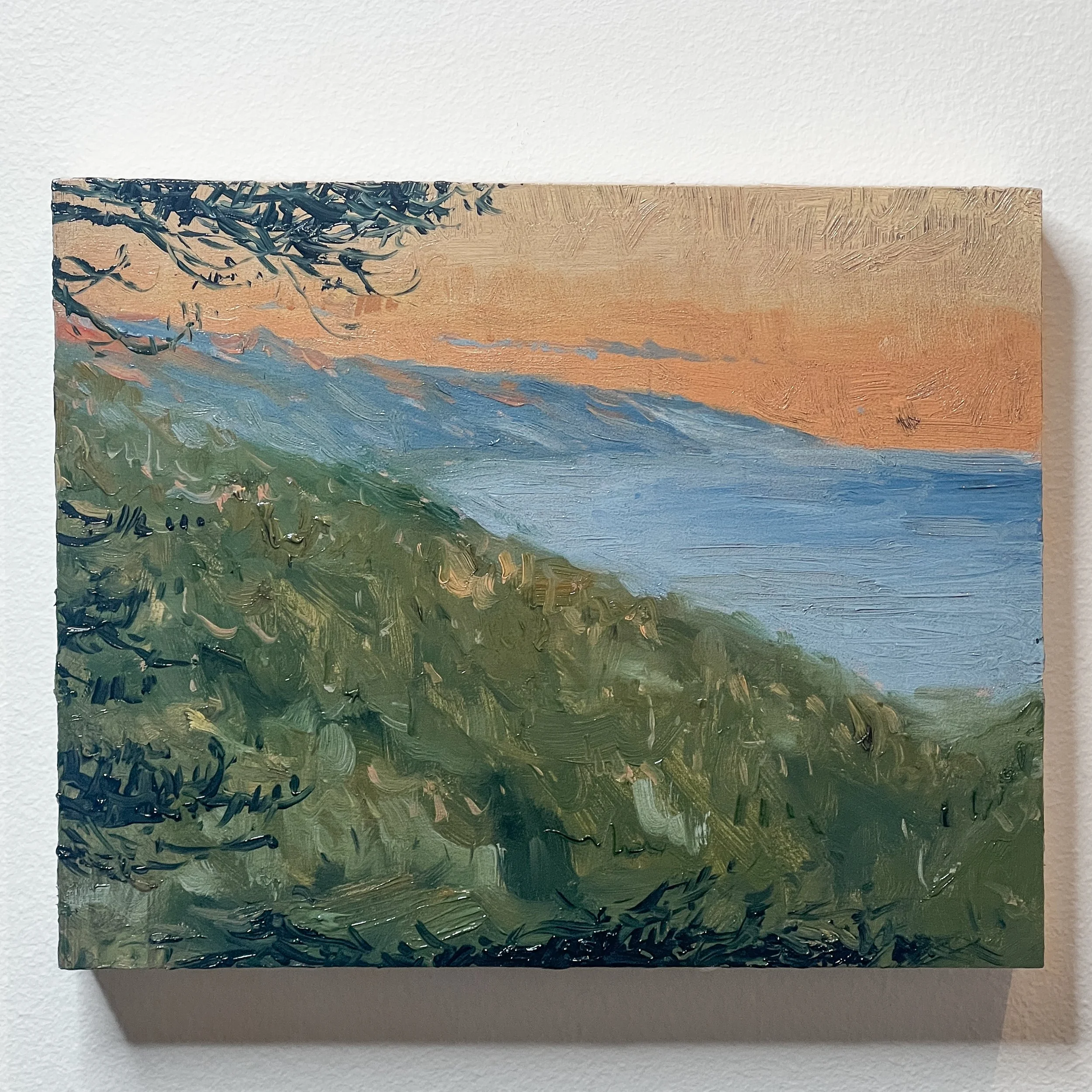 Pfeiffer Ridge 8 x 10 coast.jpg