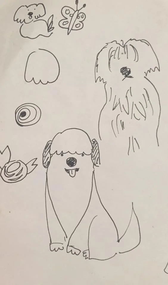 Rita dog sketches.jpg