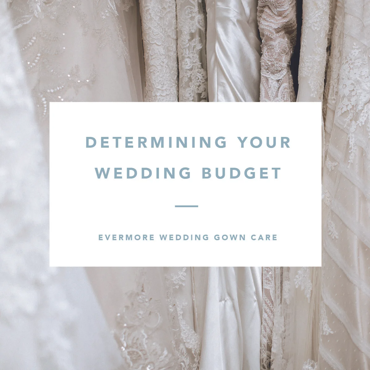 Determining_Your_Wedding_Budget.jpg