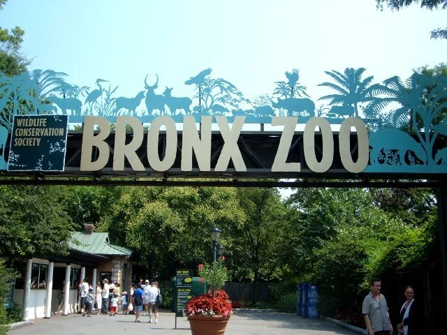 Bronx Zoo.jpg