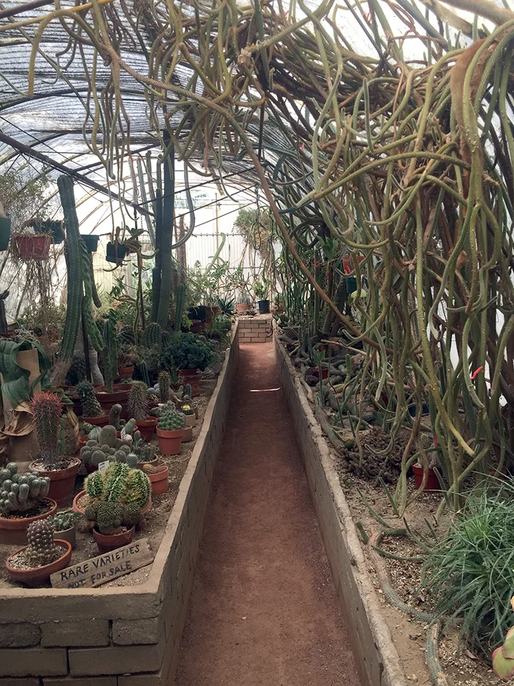 Self-titled "World's Largest Cactarium."