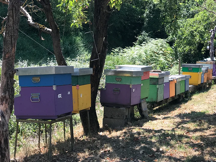I would love one or two of these in my backyard. 