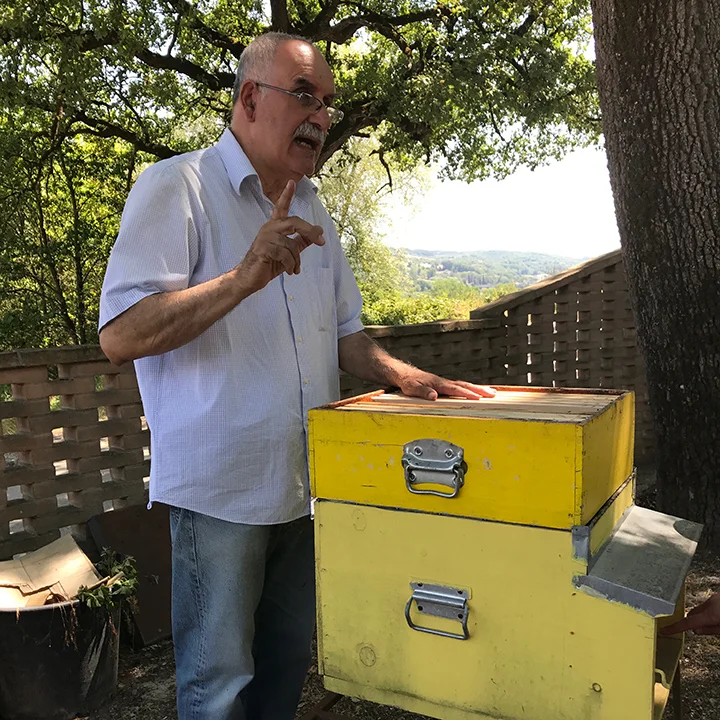 Señor Palombi showing us a demonstration hive. 