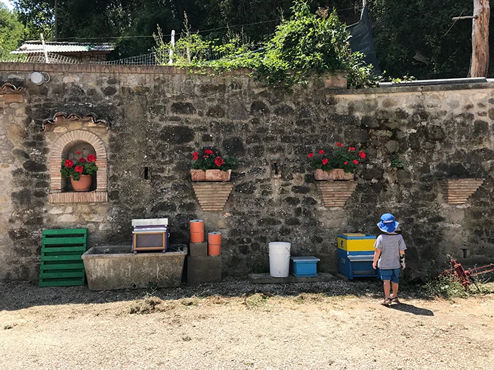 Beauty in beekeeping.