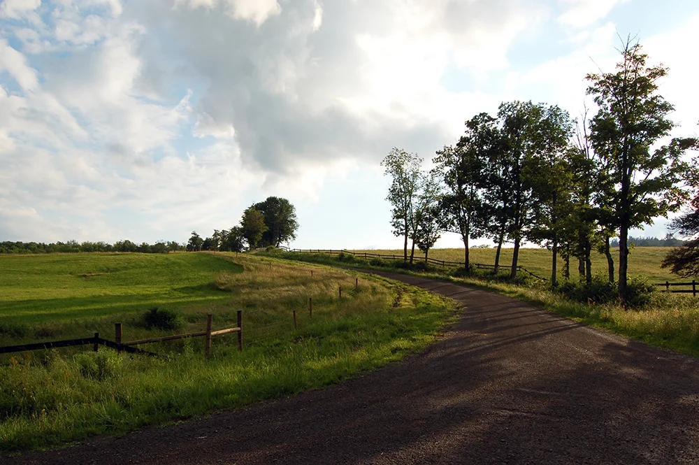 road.jpg
