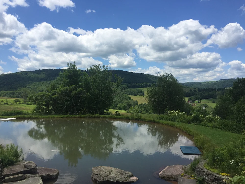 view from Tjalling’s deck.