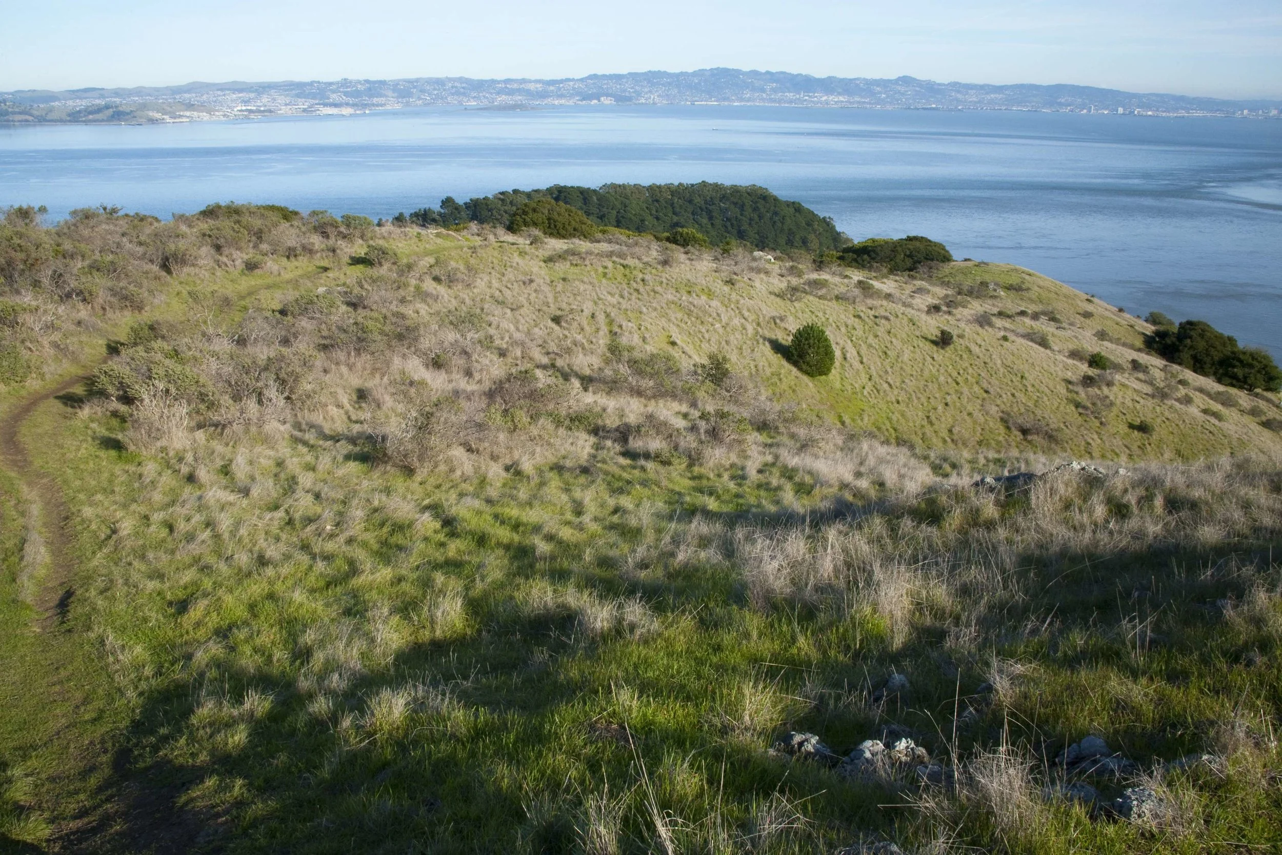 Martha Property view to southeast ©Jocelyn Knight