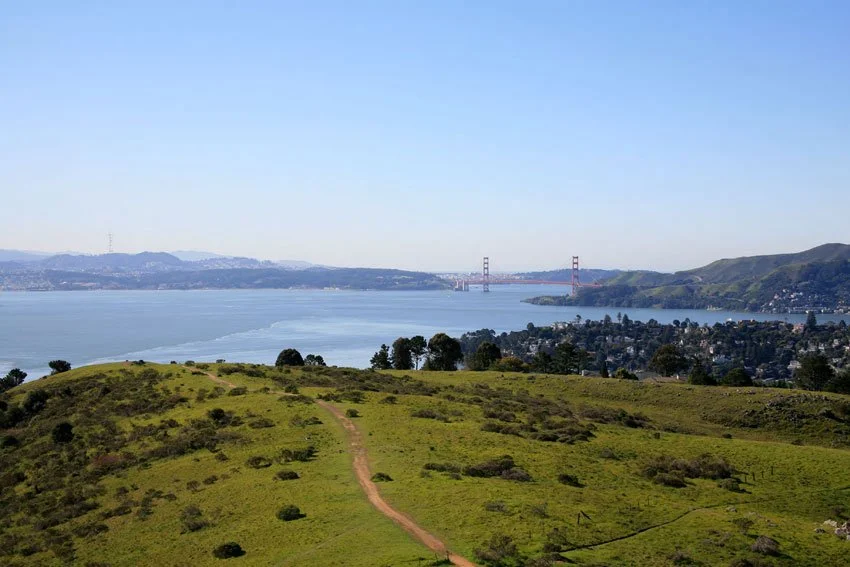 Important News to Share With You