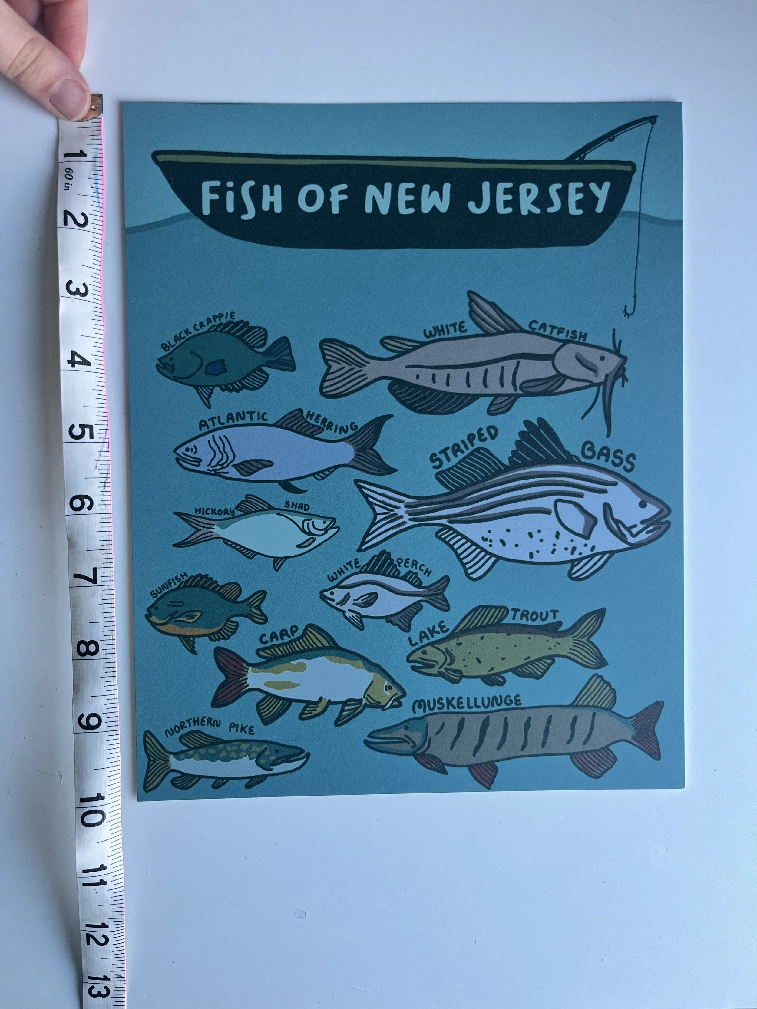 Fish of NJ 3.JPG