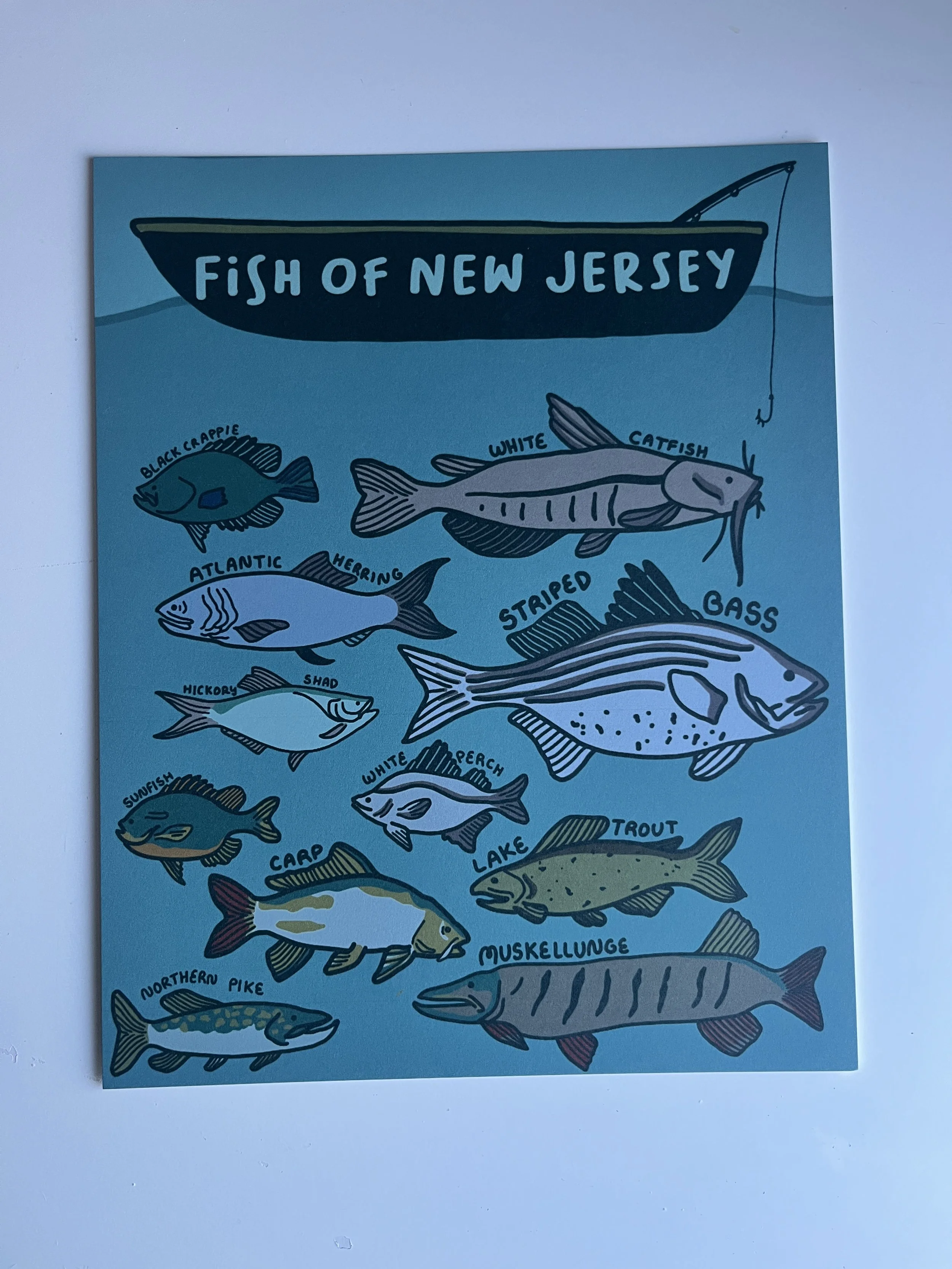 Fish of NJ 1.JPG