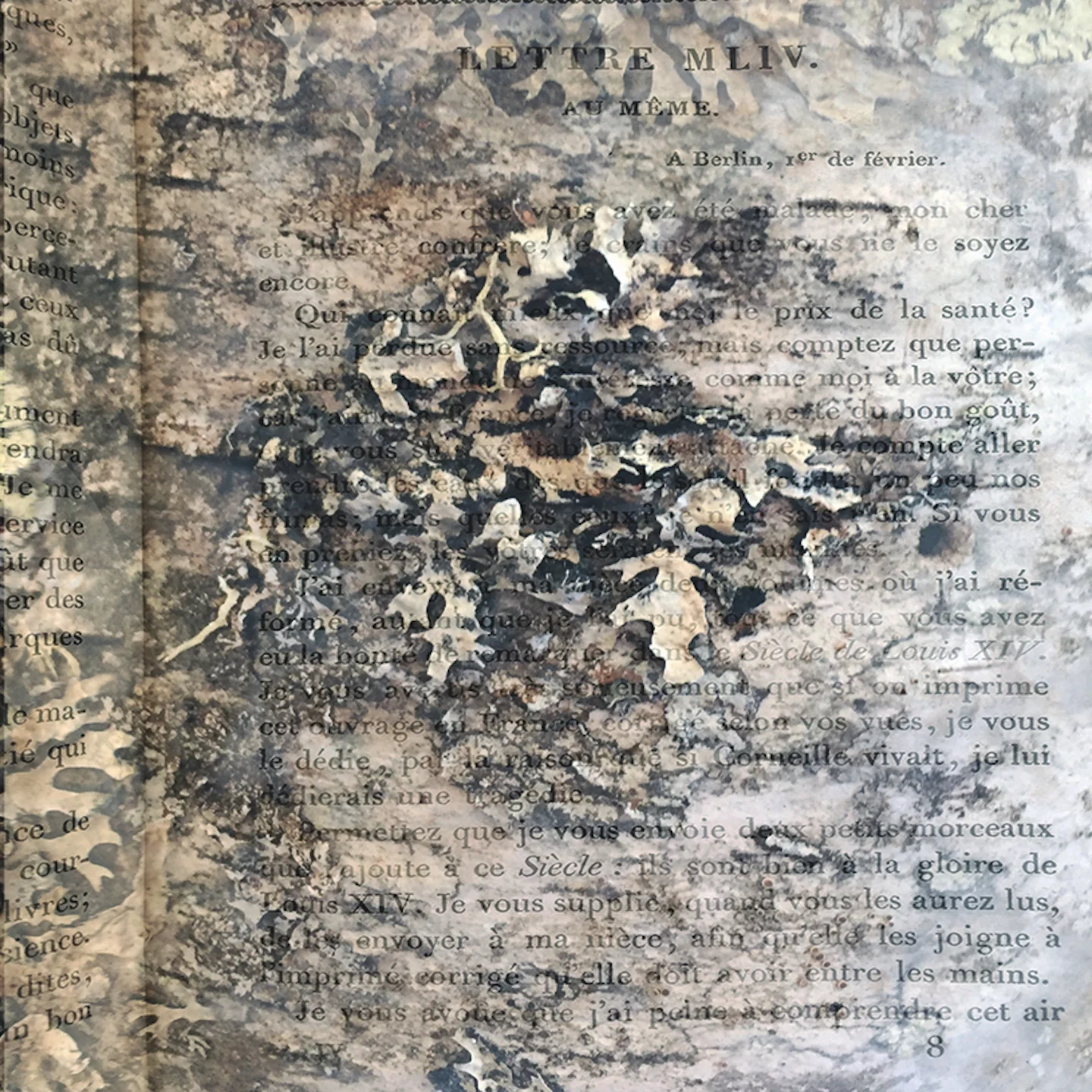 Cycles 12