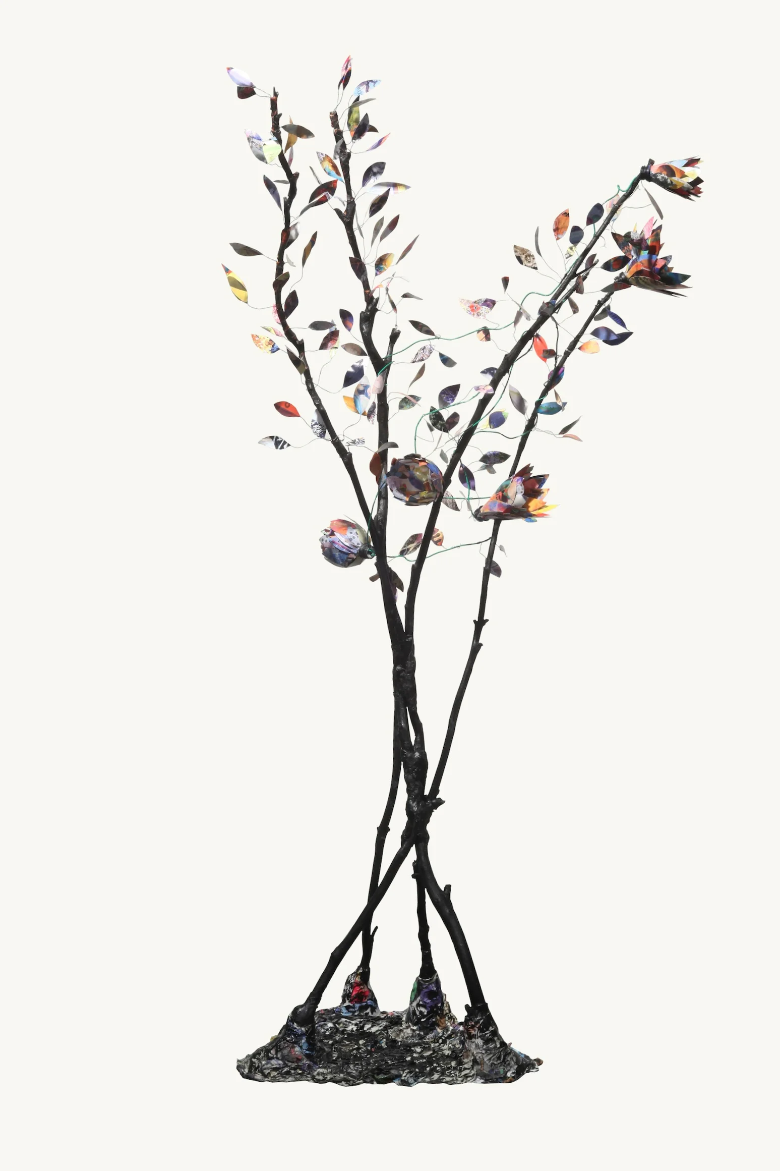 Trees from Trash 15