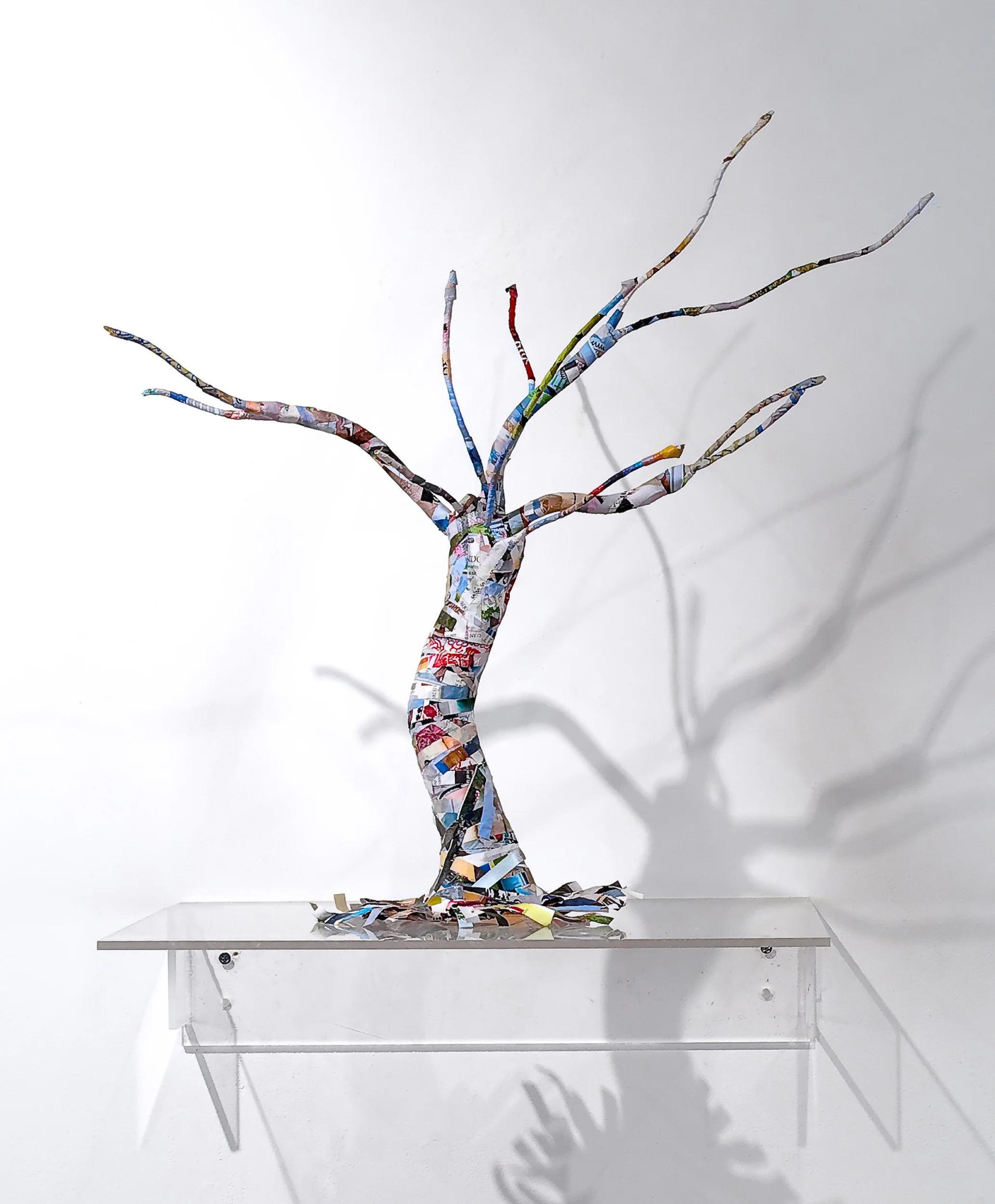 Trees From Trash 2