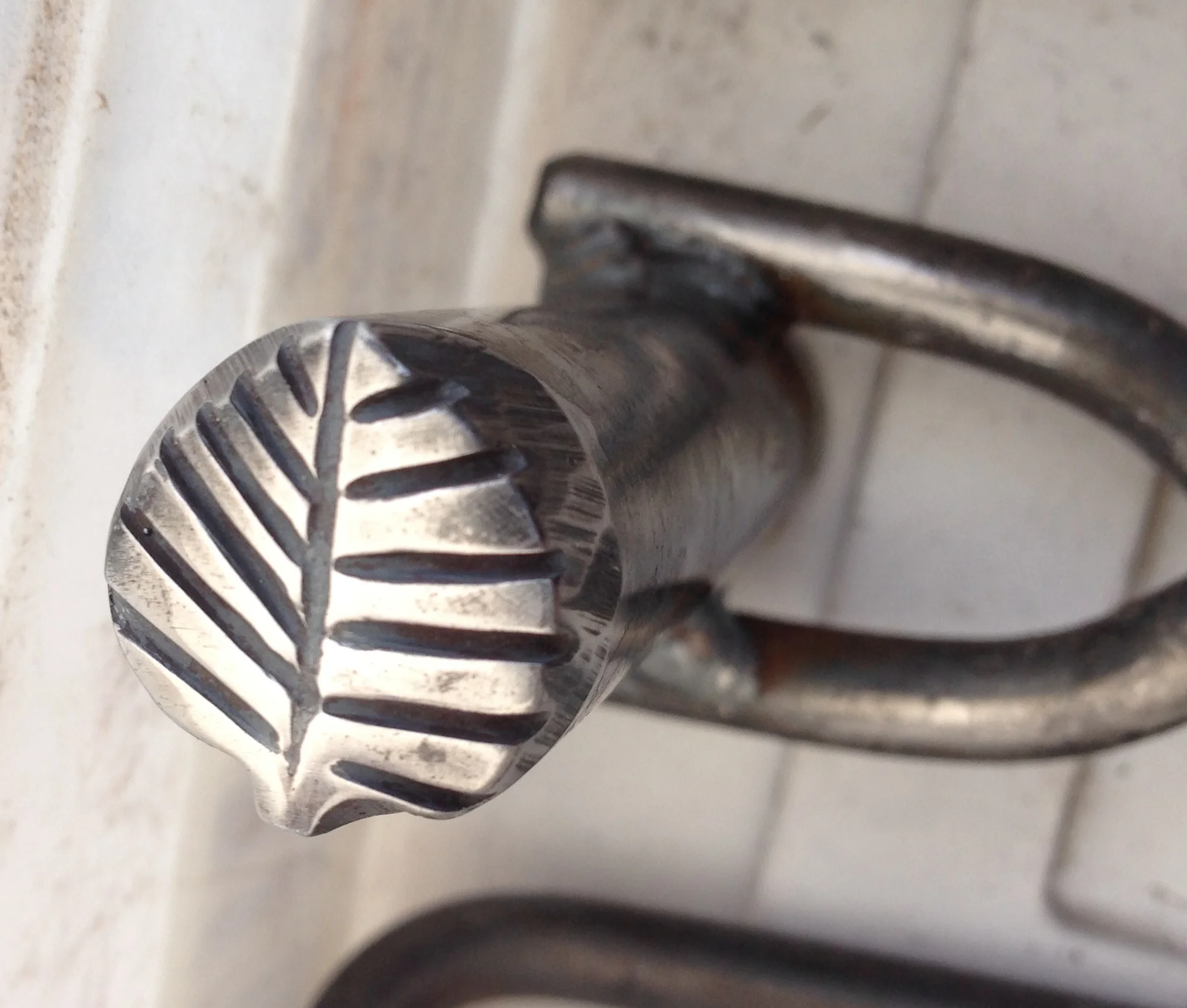 leaf heart shaped with straight veins.JPG