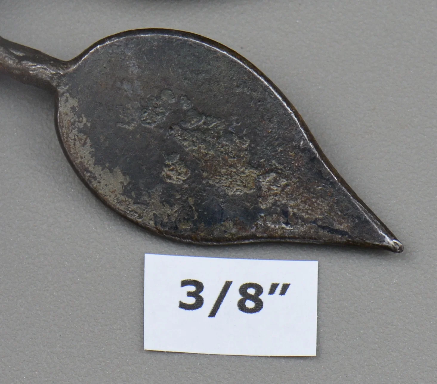 leaf, three eighths hammered flat DSC_2449.jpg