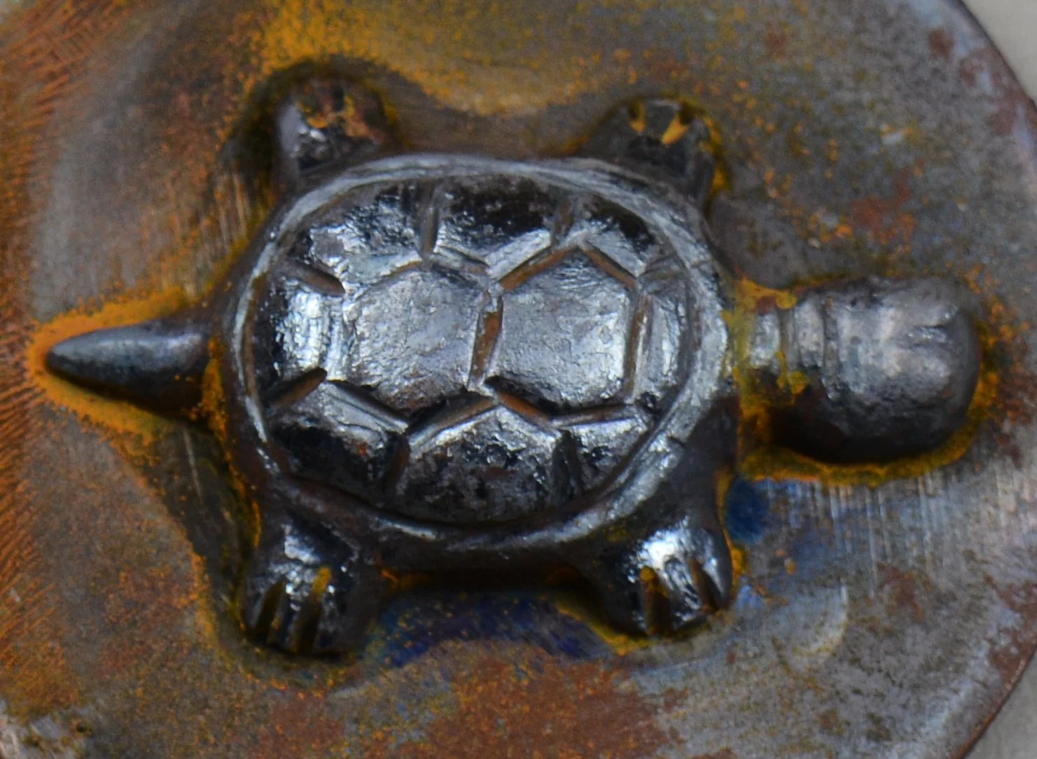 turtle open die with flashing DSC_2599.jpg