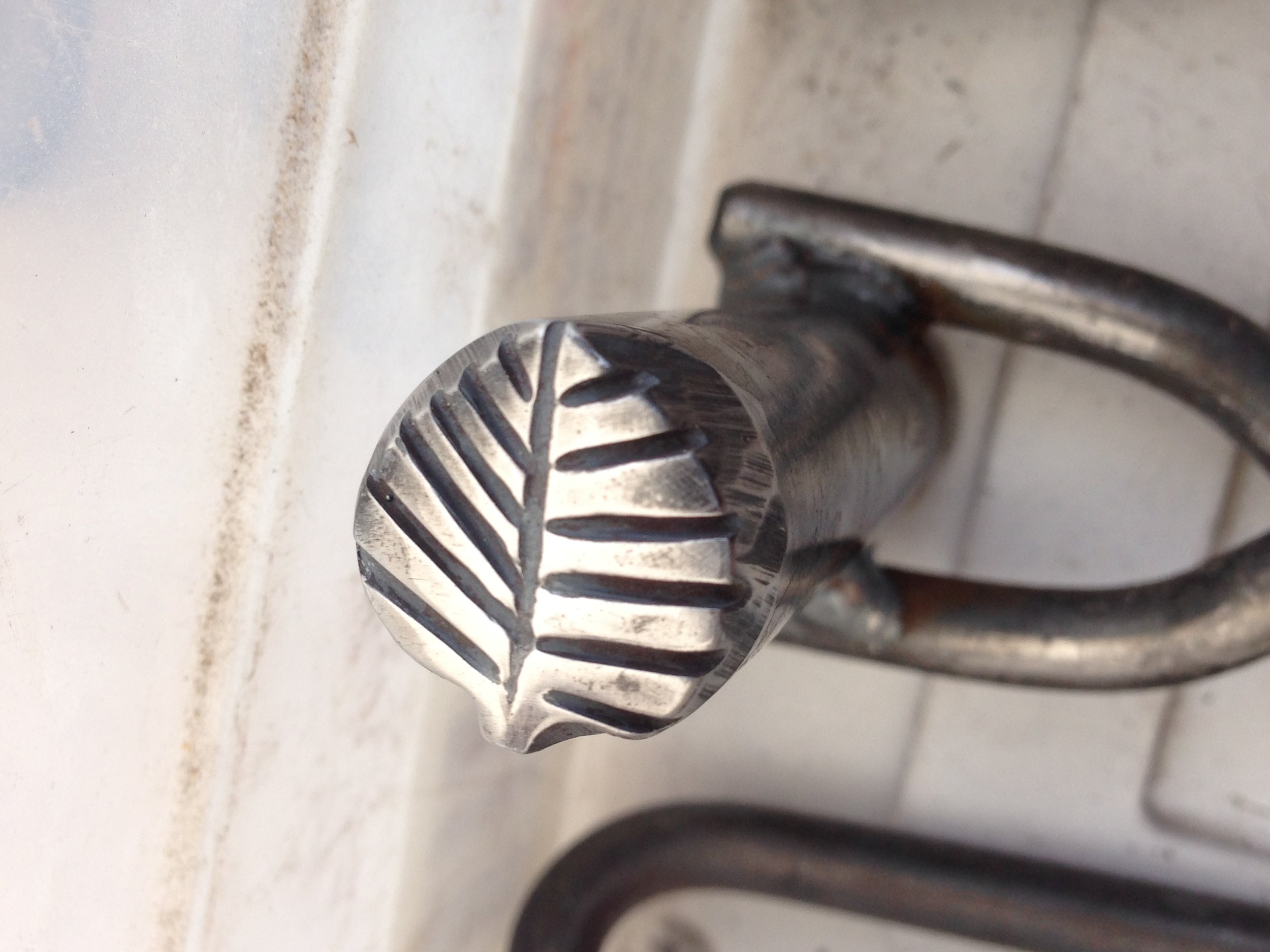 leaf heart shaped with straight veins.JPG