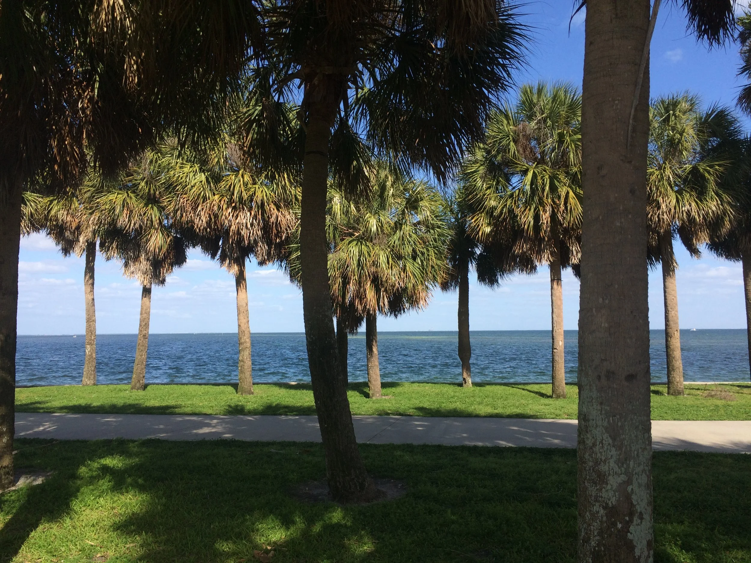 St. Petersburg