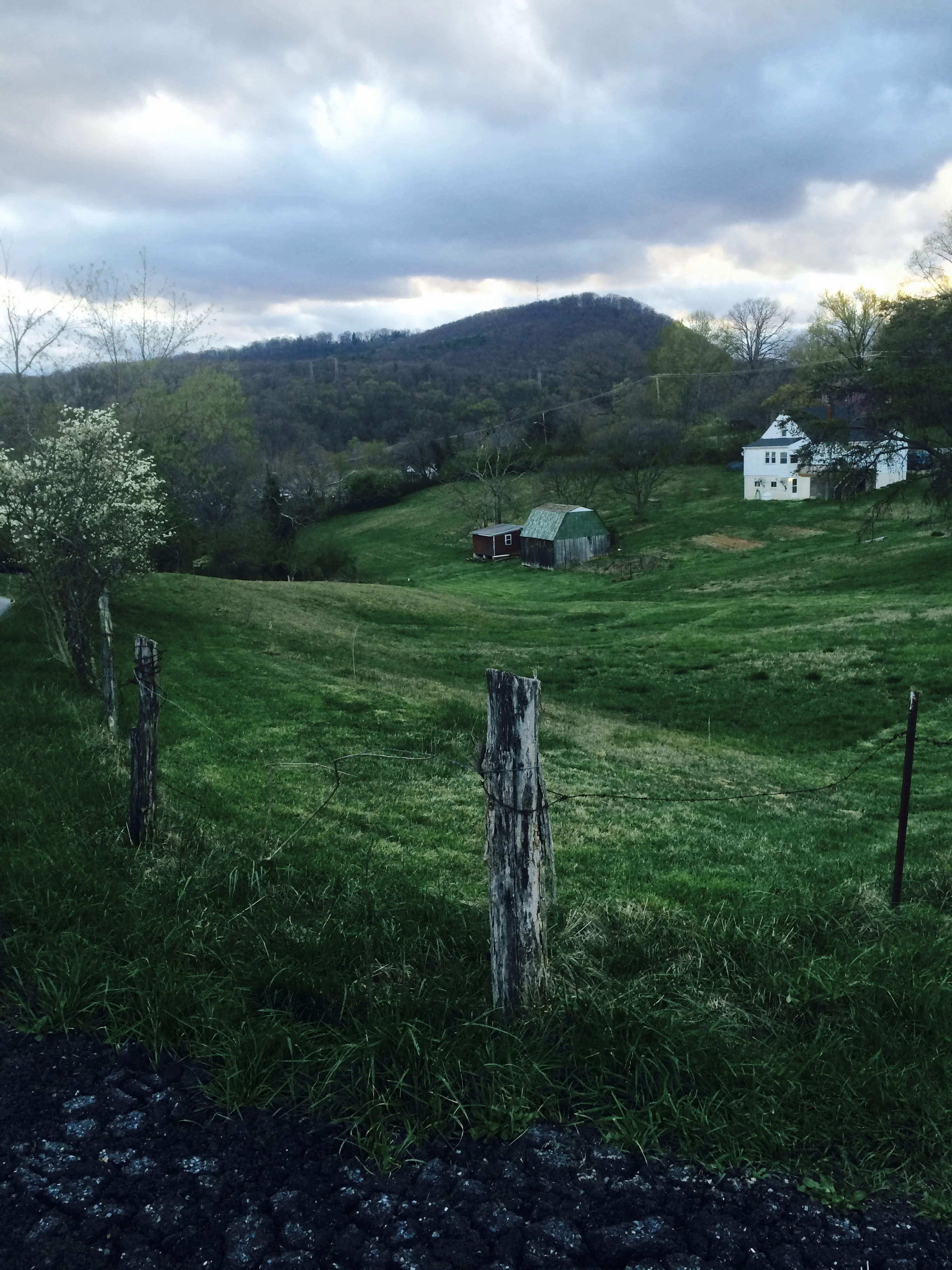 Appalachia is absolutely beautiful. This is someones backyard near the house show we played in Roanoke. 