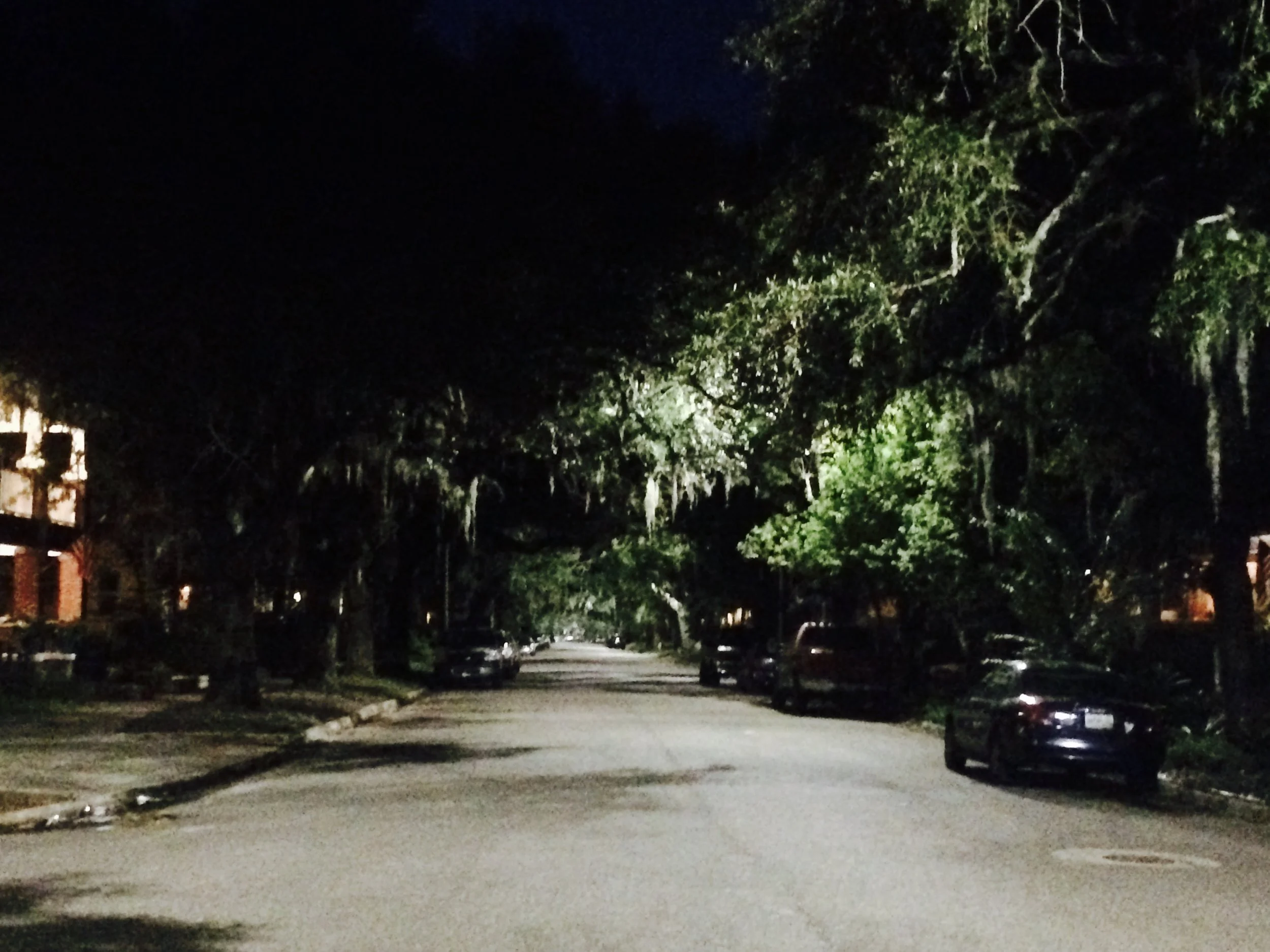 went on a run in the neighborhood. I love the trees in this part of the country. 