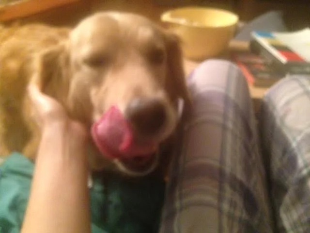 Willow :)