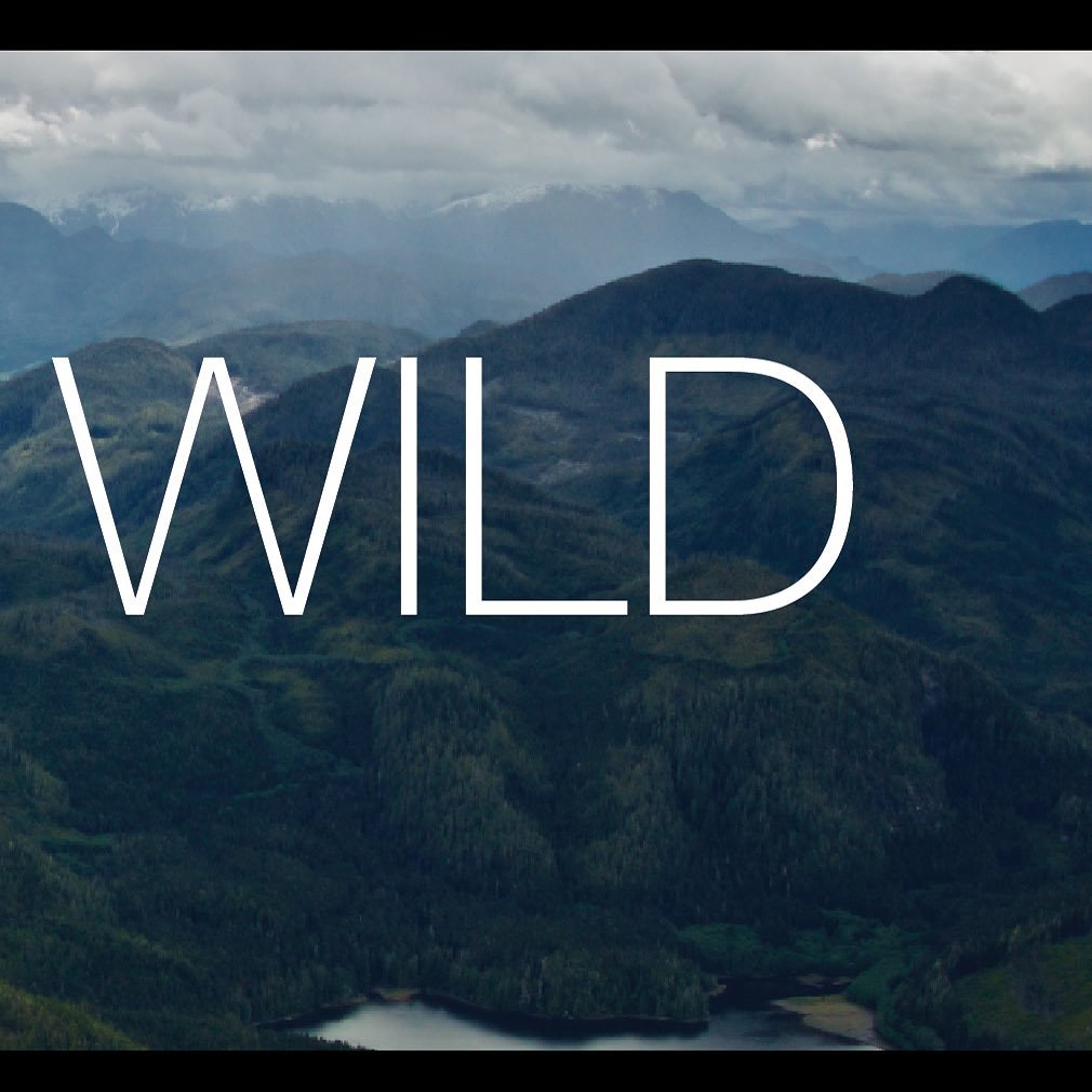 Stoked to announce that Shaped By Wild is a finalist @banffmountainfestival this year and will be available online for viewing this fall.

Attempting to capture the essence of a mountain range that stretches thousands of kilometres with only three ma